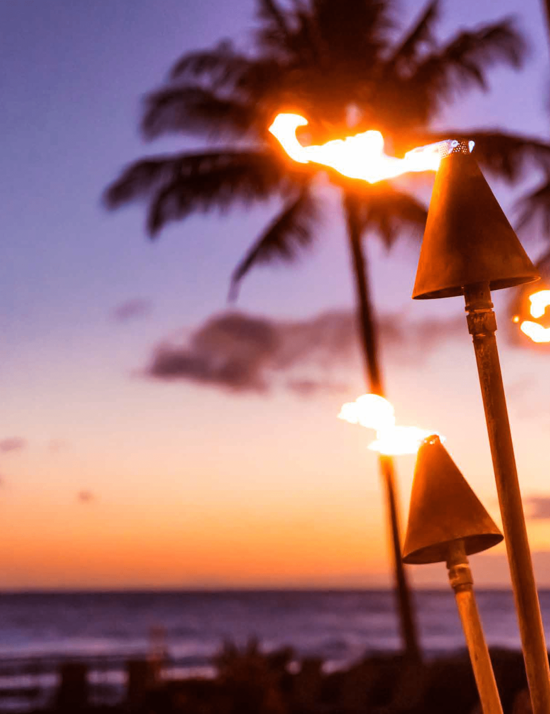 Hawaii torches 550 &times; 714